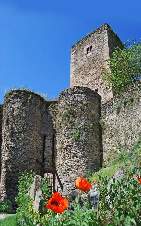 Chambre D'Hotes Au Chateau De Belcastel Bed & Breakfast